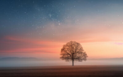 Four Seasons in a Day